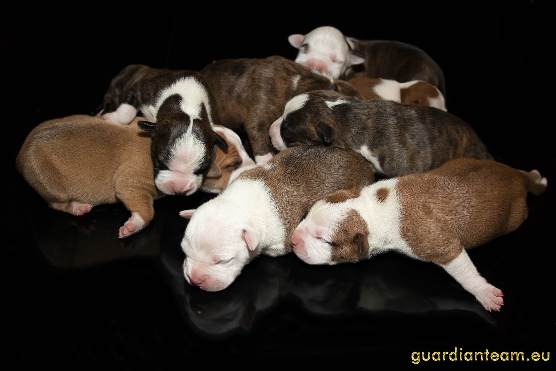 Galeria 2021.12.17 - 2021.12.24