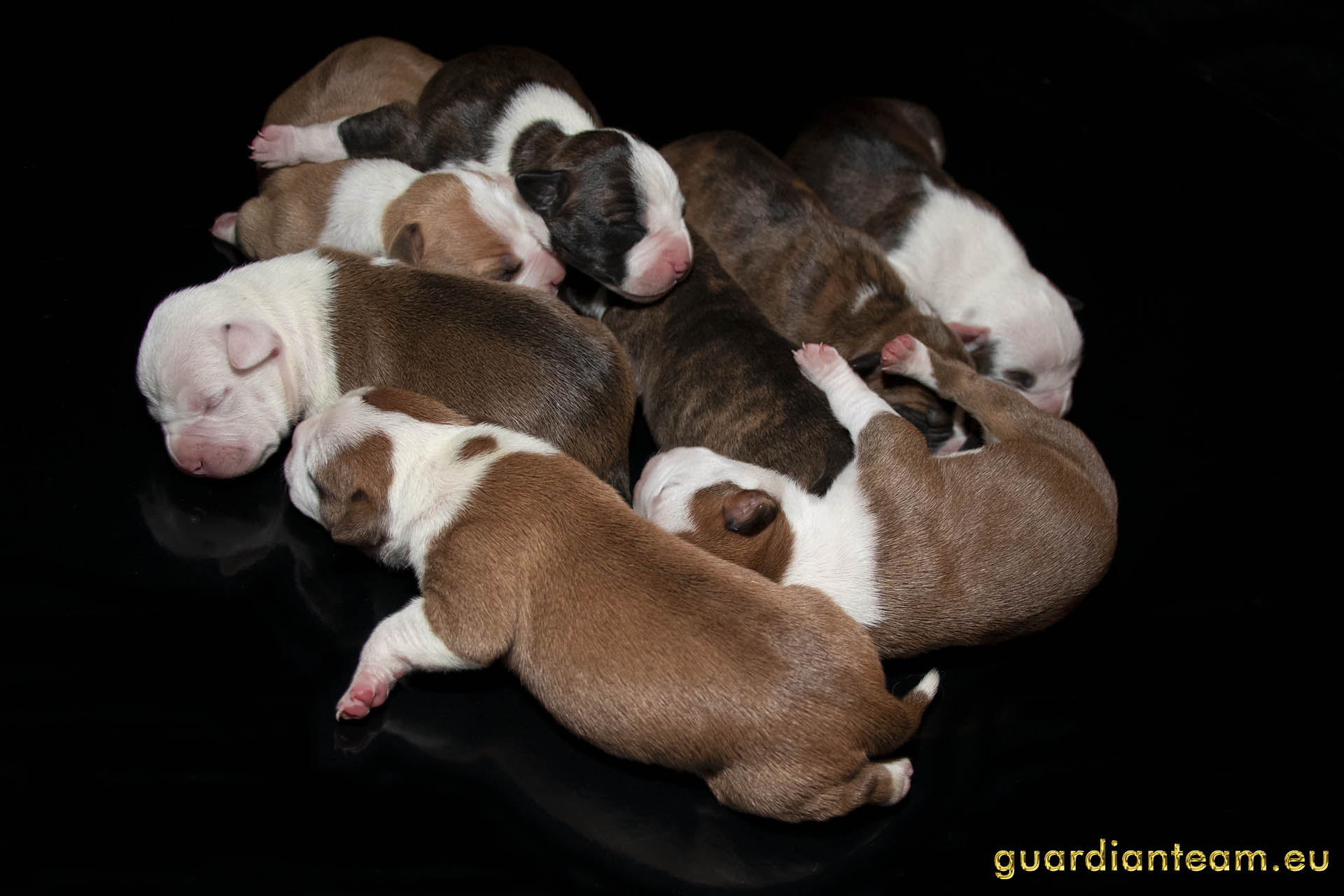 Galeria 2021.12.17 - 2021.12.24