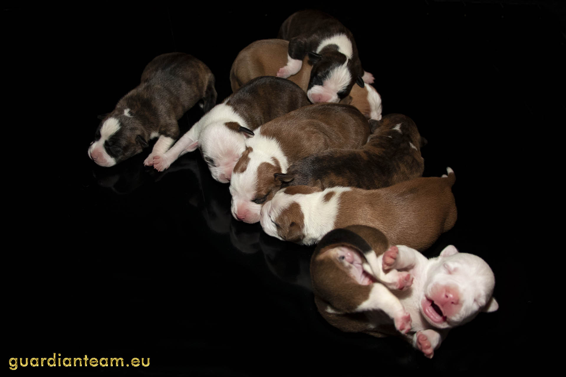 Galeria 2021.12.17 - 2021.12.24