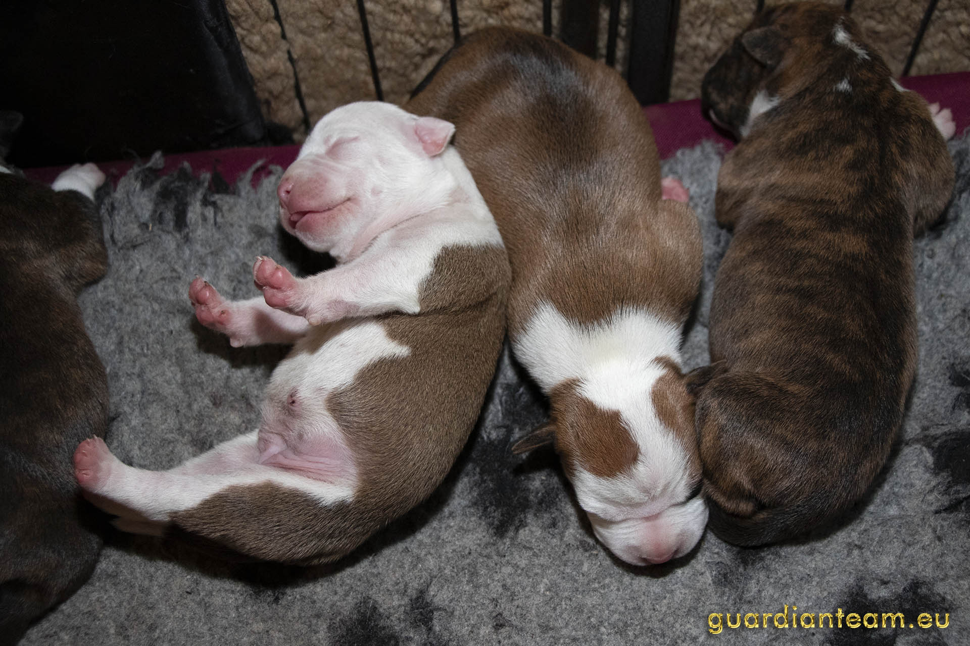 Galeria 2021.12.17 - 2021.12.24