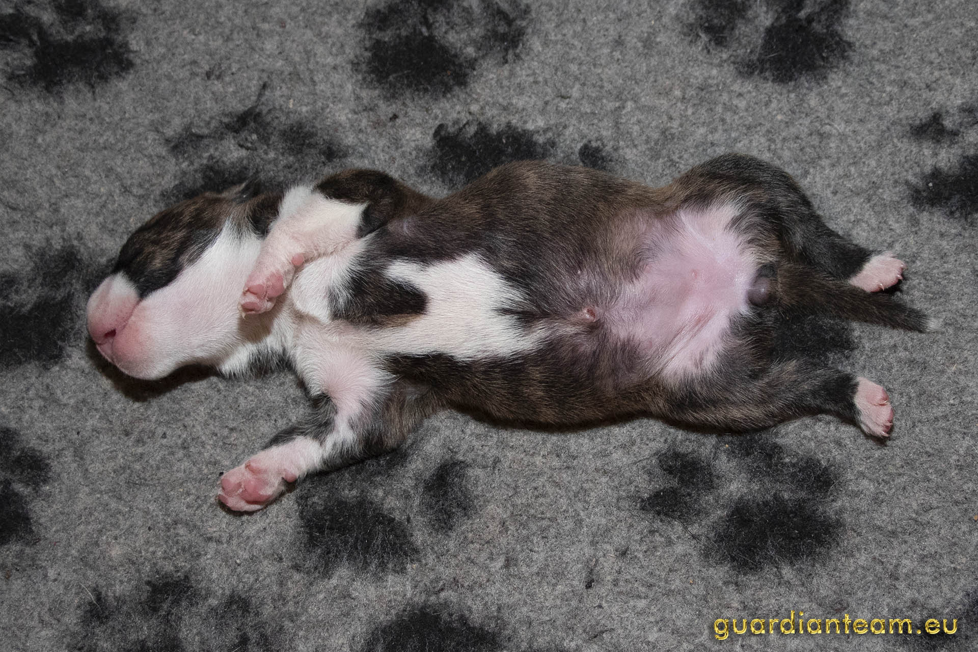 Galeria 2021.12.17 - 2021.12.24