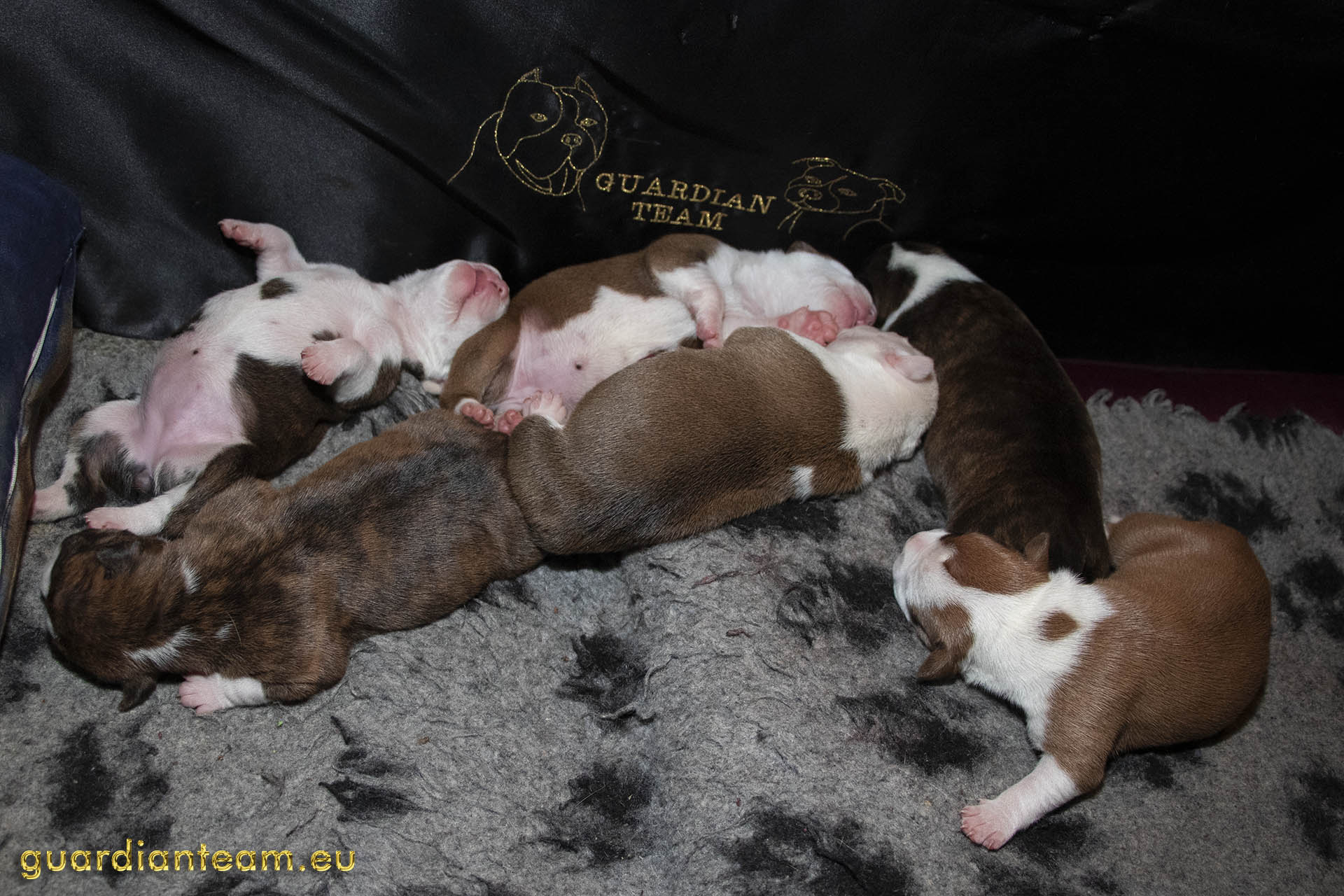 Galeria 2021.12.17 - 2021.12.24