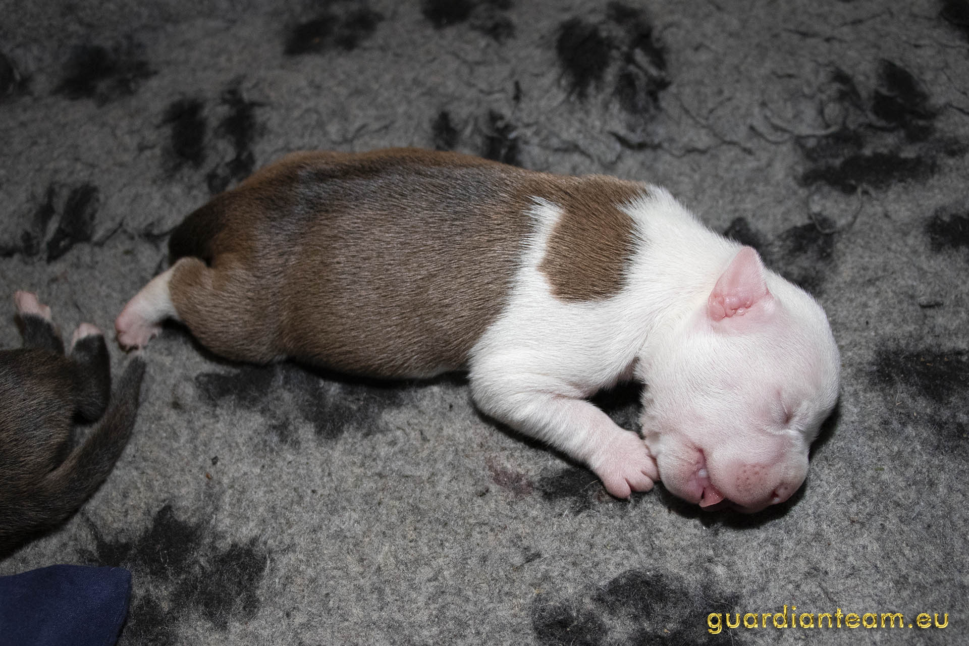 Galeria 2021.12.17 - 2021.12.24