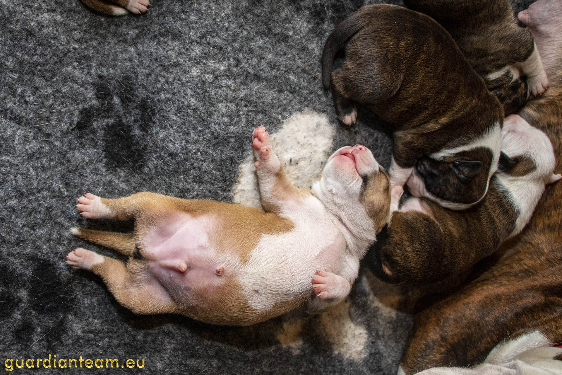 Galeria 2021.12.17 - 2021.12.24