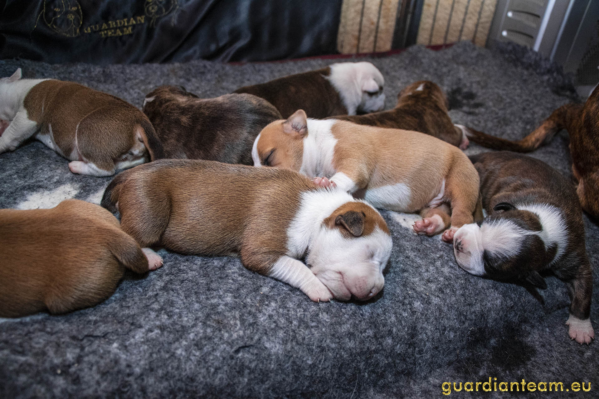 Galeria 2021.12.17 - 2021.12.24