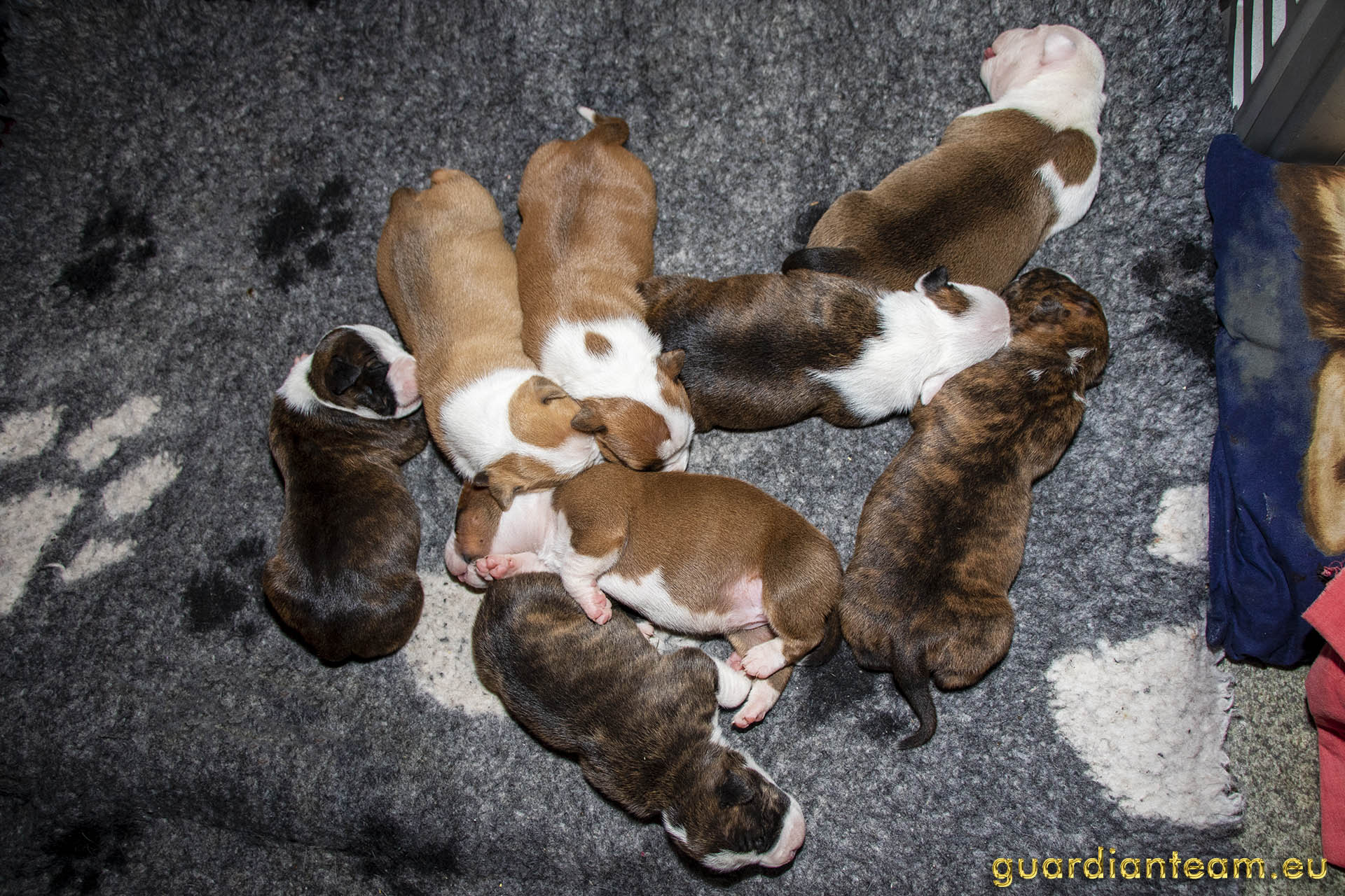 Galeria 2021.12.17 - 2021.12.24