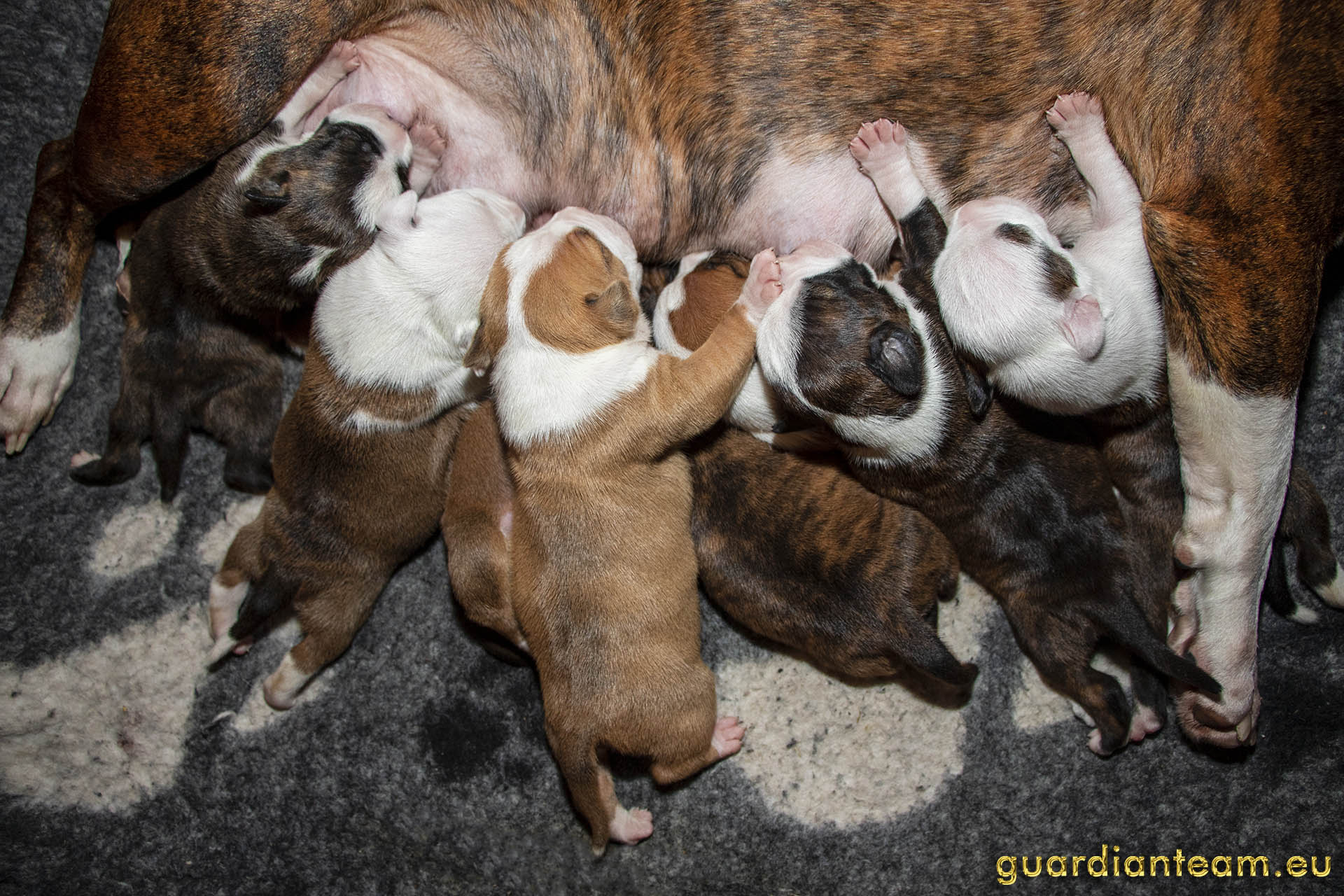 Galeria 2021.12.17 - 2021.12.24