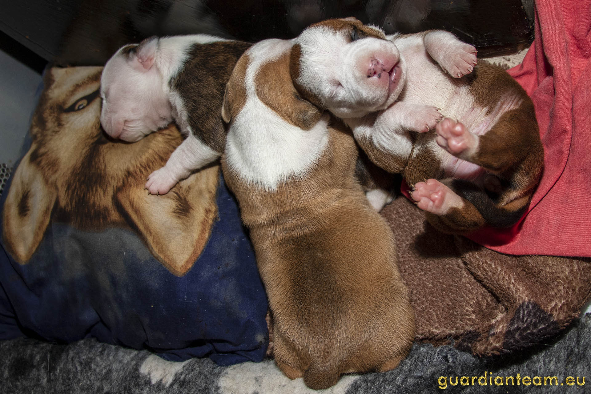 Galeria 2021.12.17 - 2021.12.24