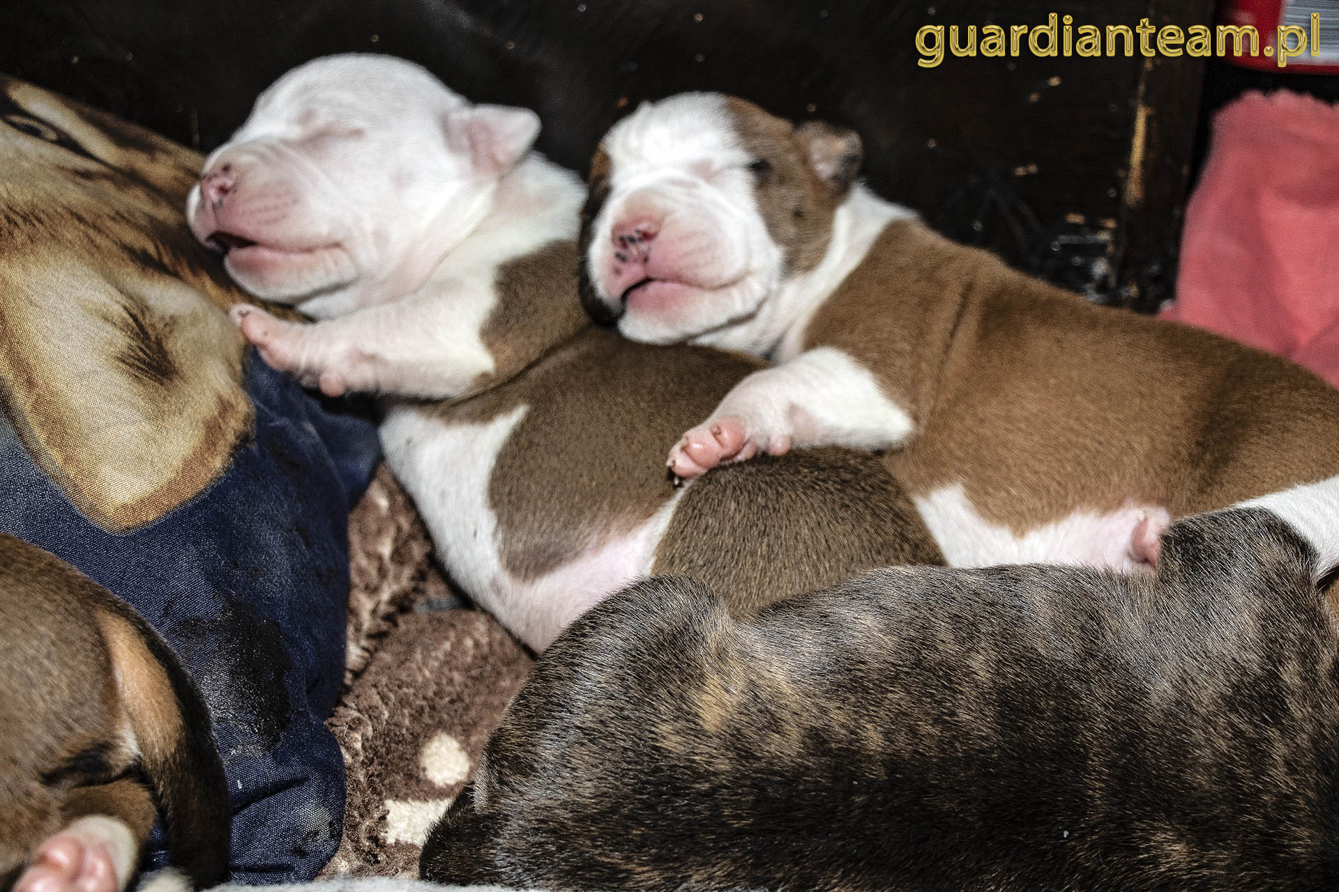 Galeria 2021.12.17 - 2021.12.24