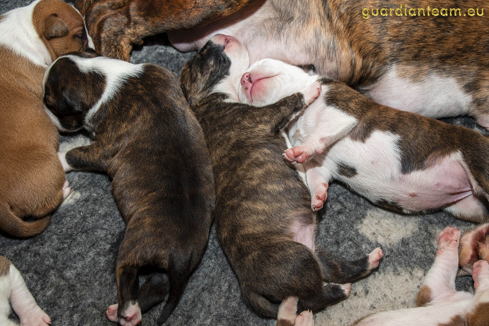 Galeria 2021.12.17 - 2021.12.24