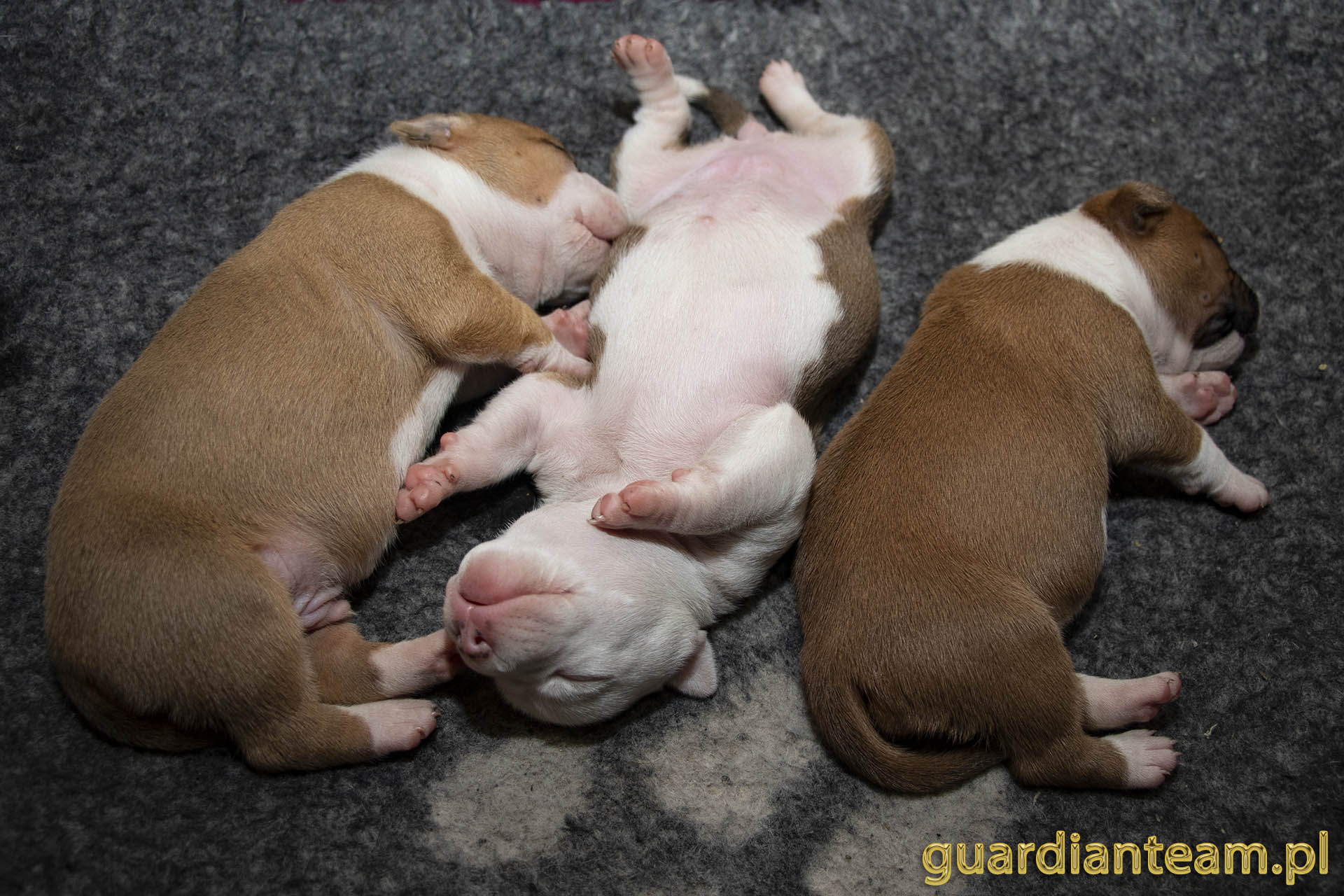 Galeria 2021.12.17 - 2021.12.24