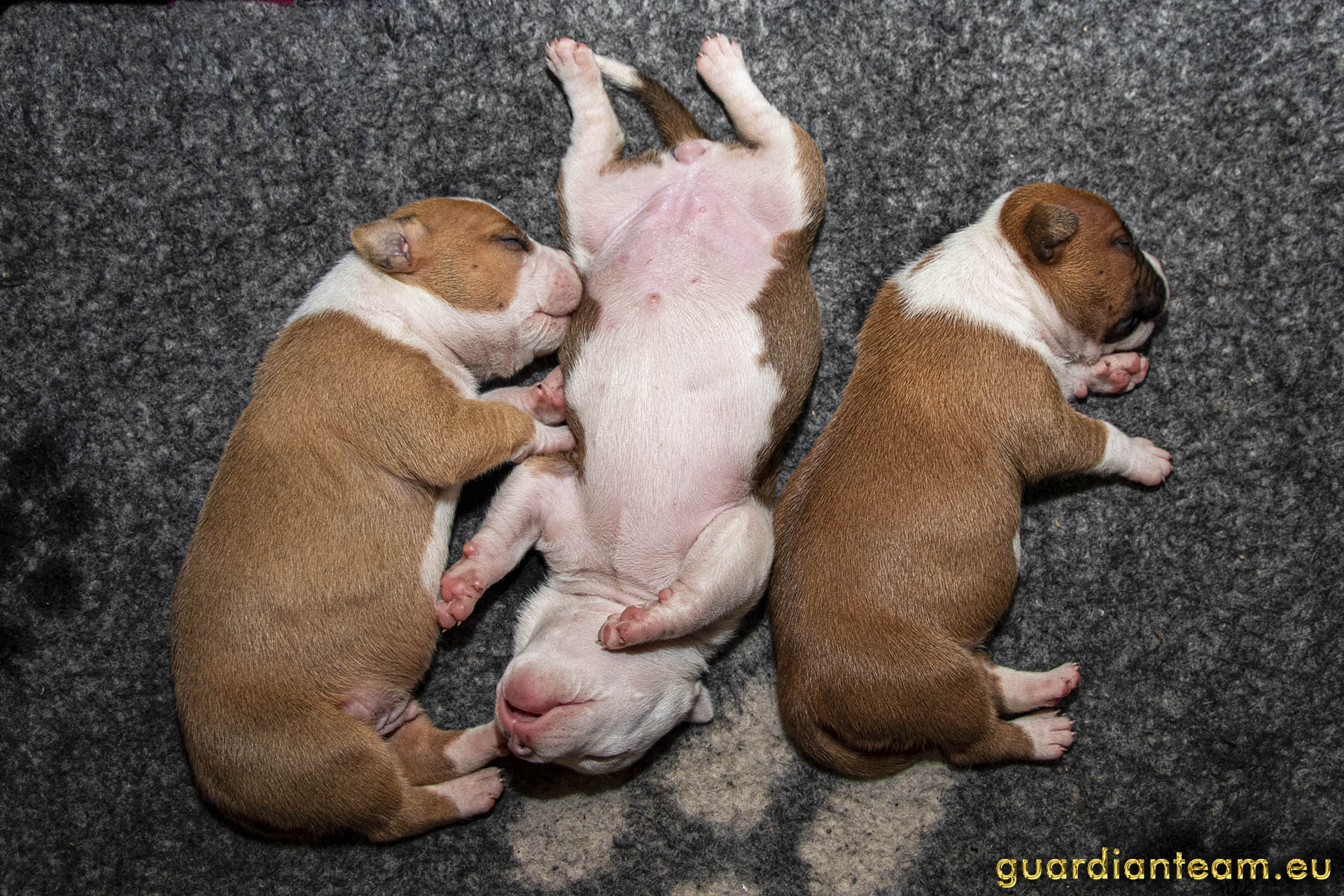 Galeria 2021.12.17 - 2021.12.24