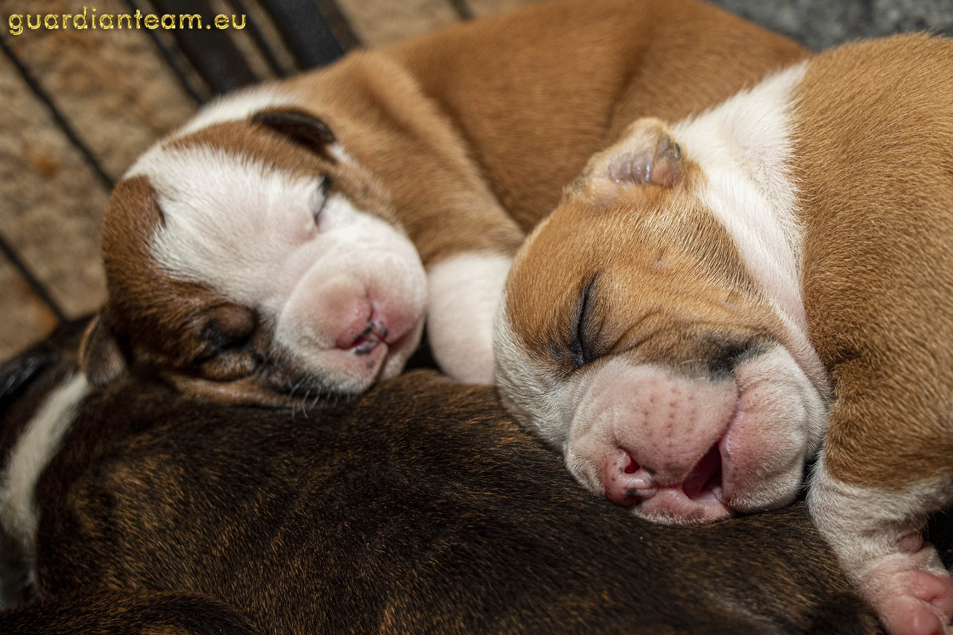 Galeria 2021.12.17 - 2021.12.24