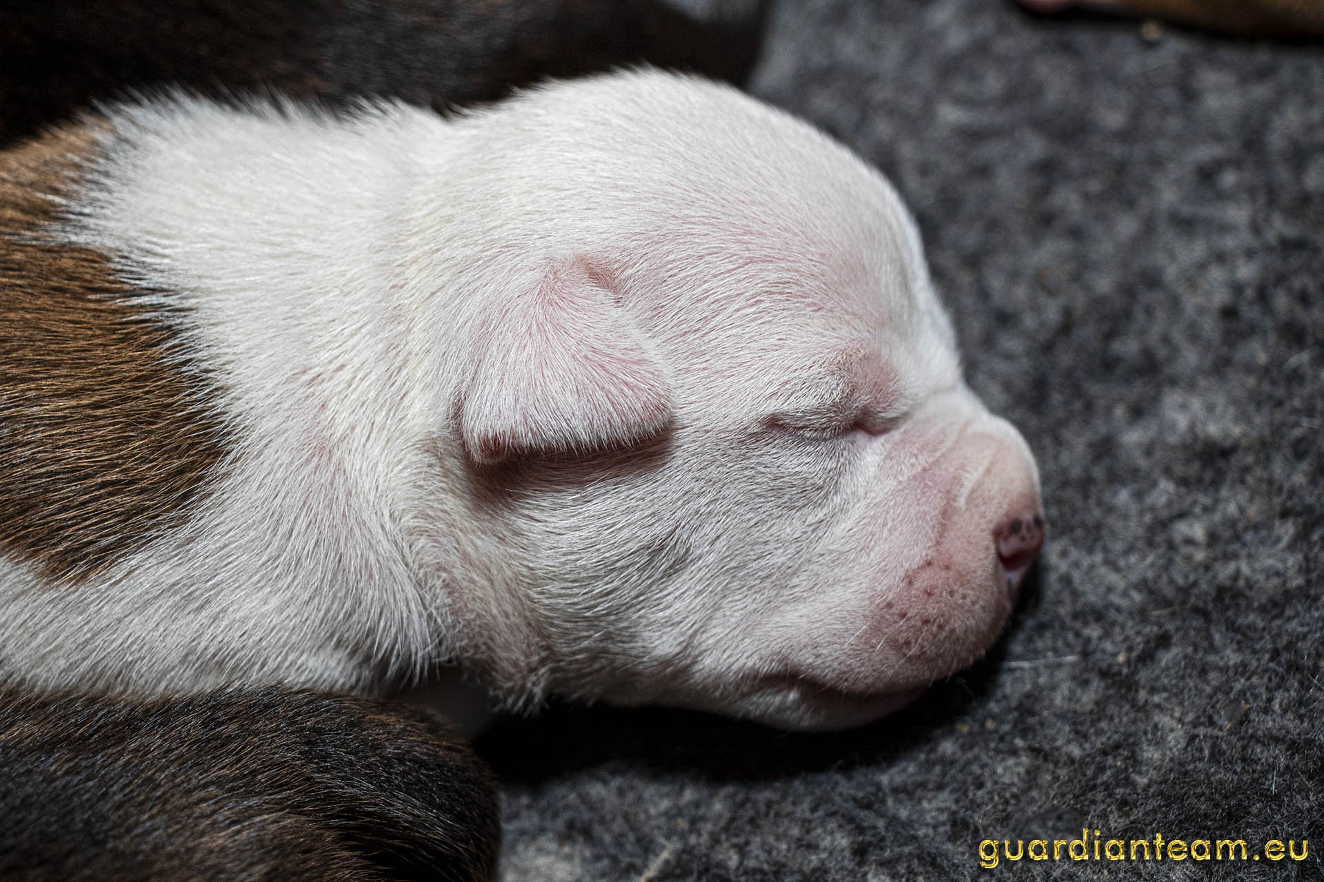 Galeria 2021.12.17 - 2021.12.24