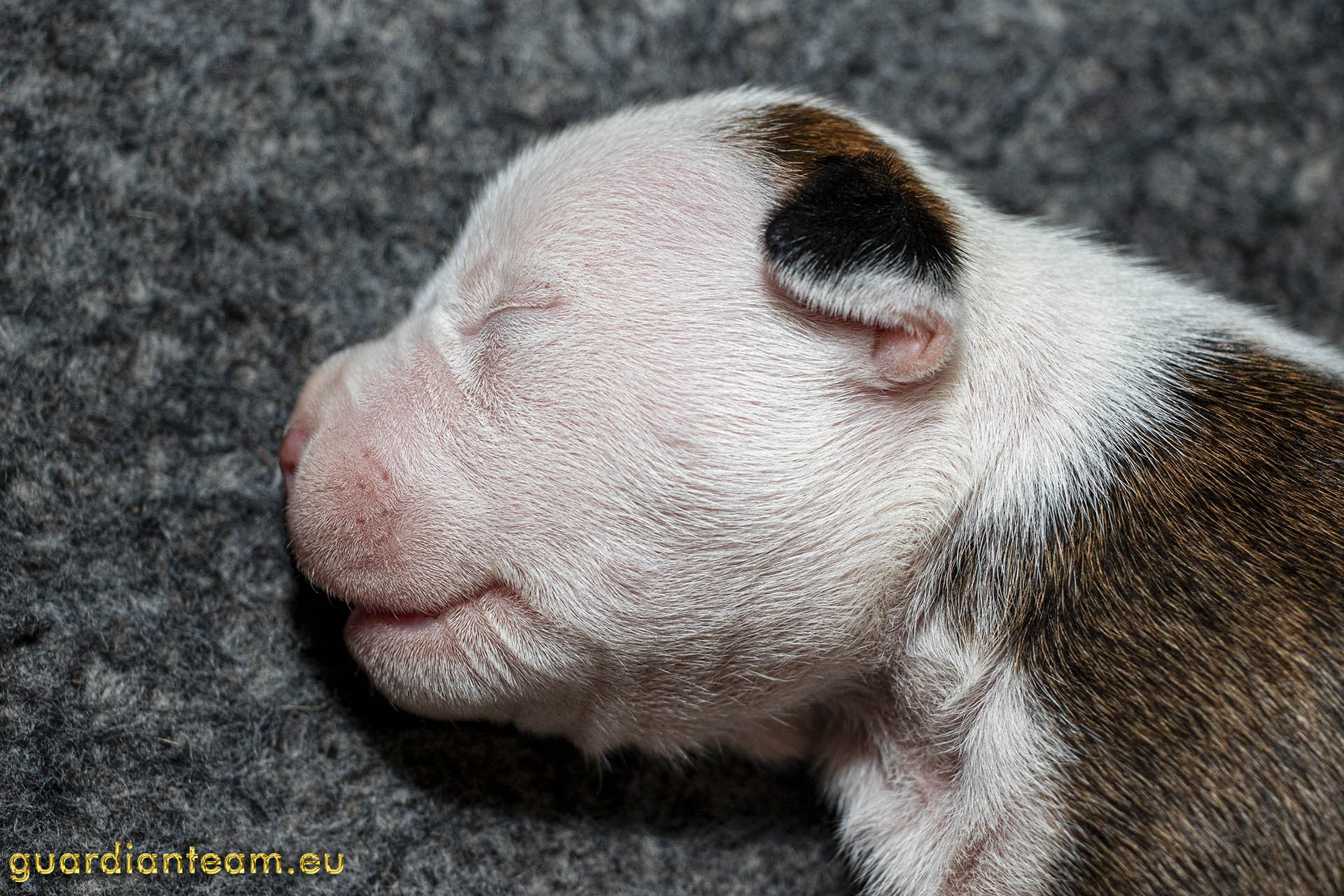 Galeria 2021.12.17 - 2021.12.24