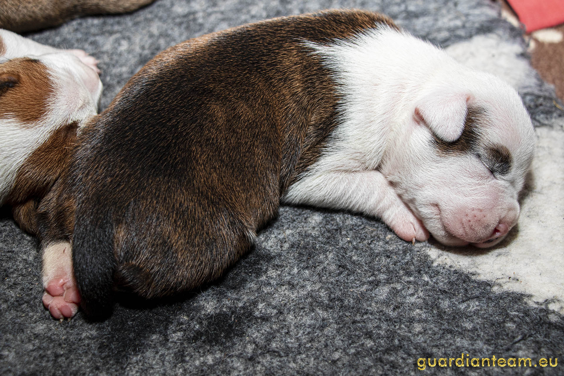 Galeria 2021.12.17 - 2021.12.24