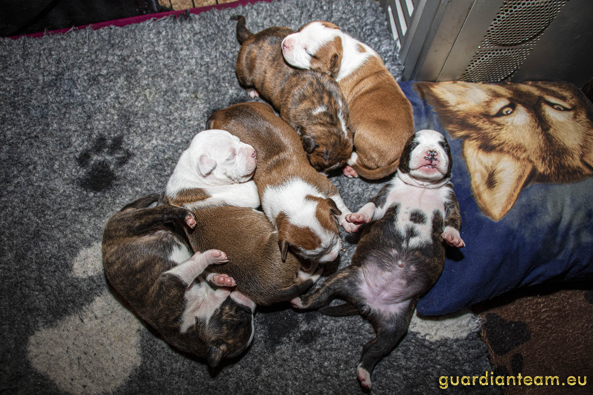 Galeria 2021.12.17 - 2021.12.24