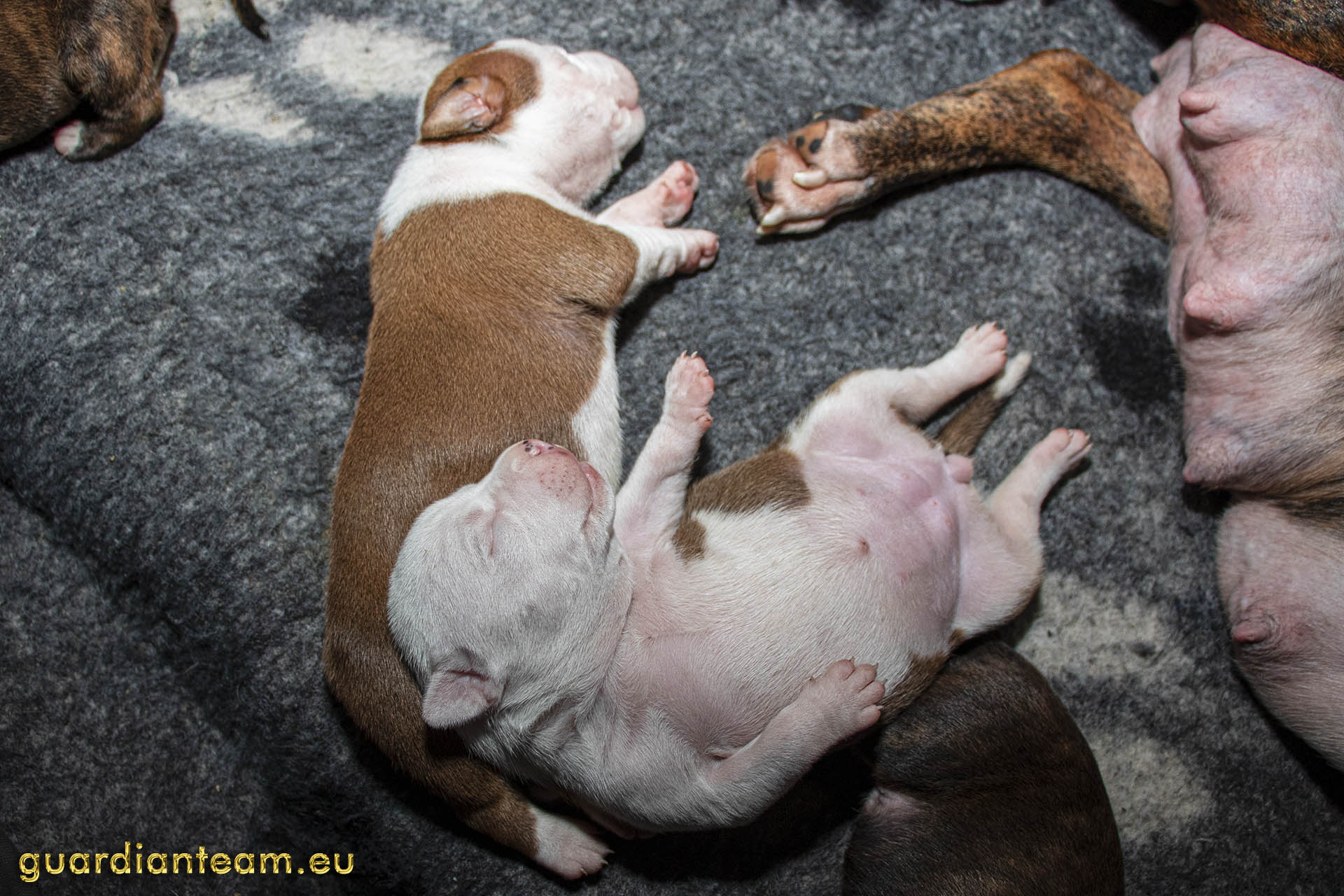 Galeria 2021.12.17 - 2021.12.24