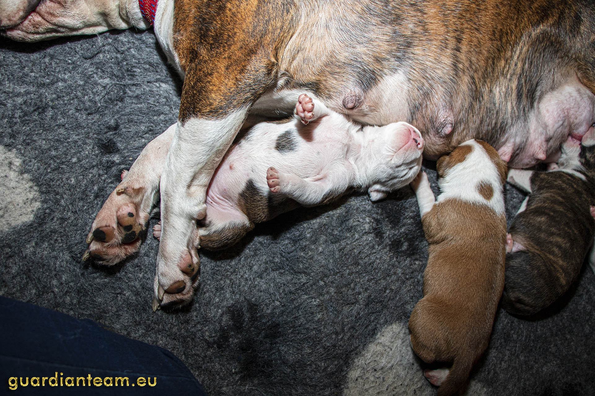 Galeria 2021.12.17 - 2021.12.24