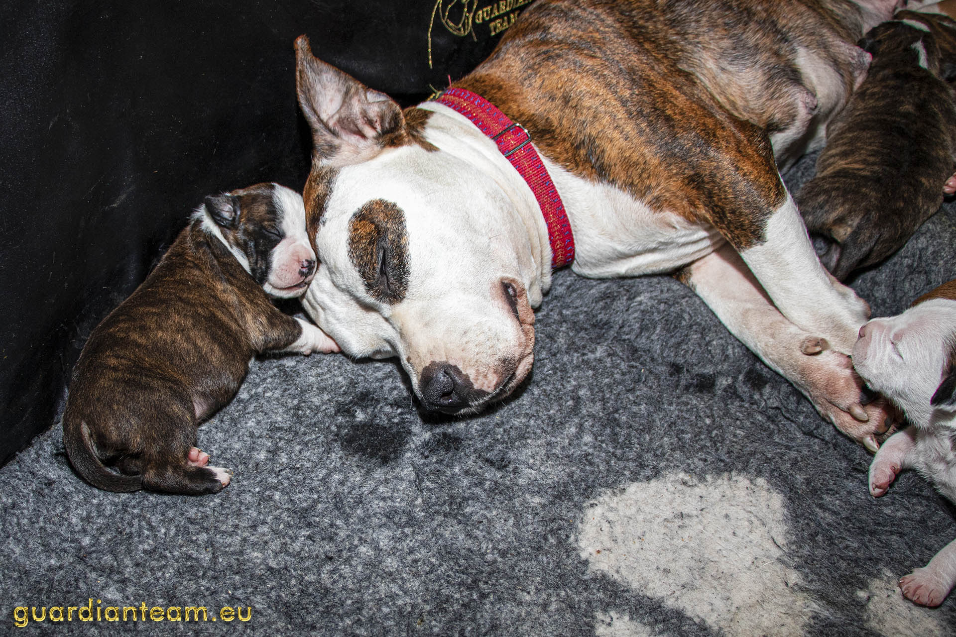 Galeria 2021.12.17 - 2021.12.24