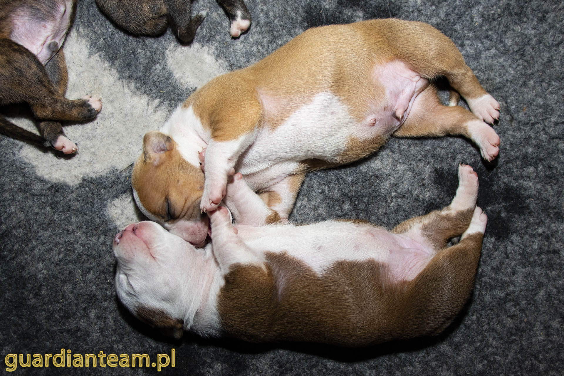 Galeria 2021.12.17 - 2021.12.24