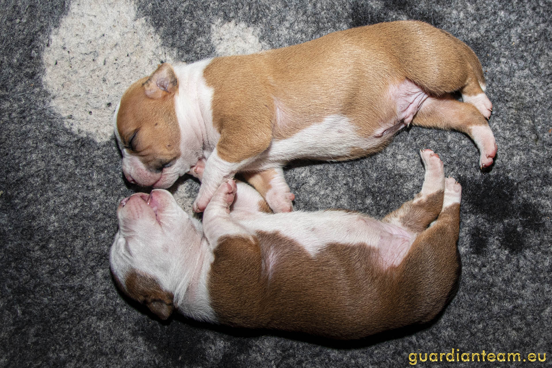 Galeria 2021.12.17 - 2021.12.24