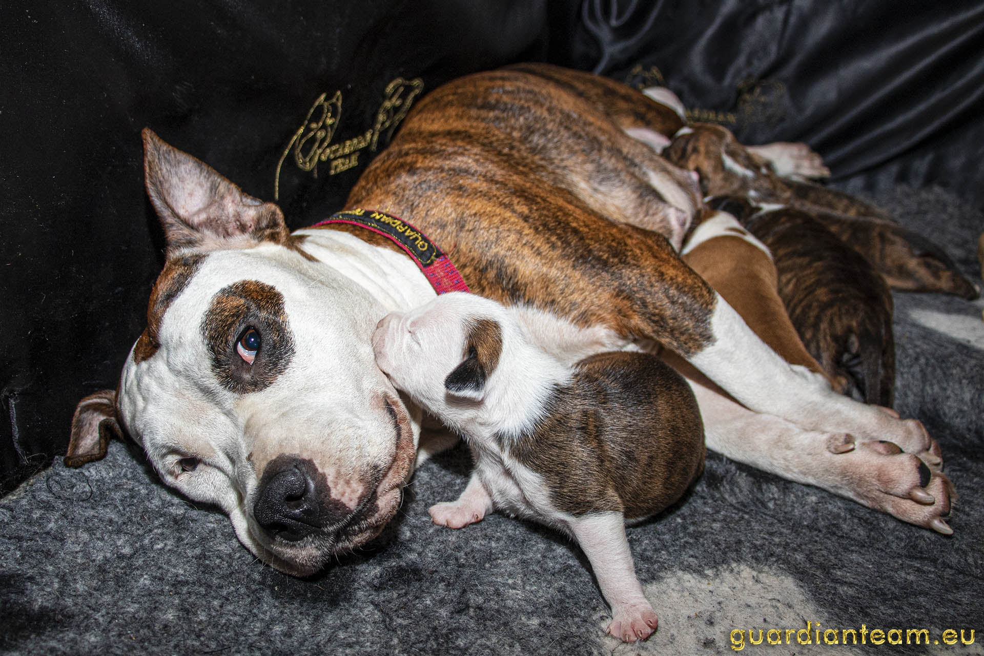 Galeria 2021.12.17 - 2021.12.24