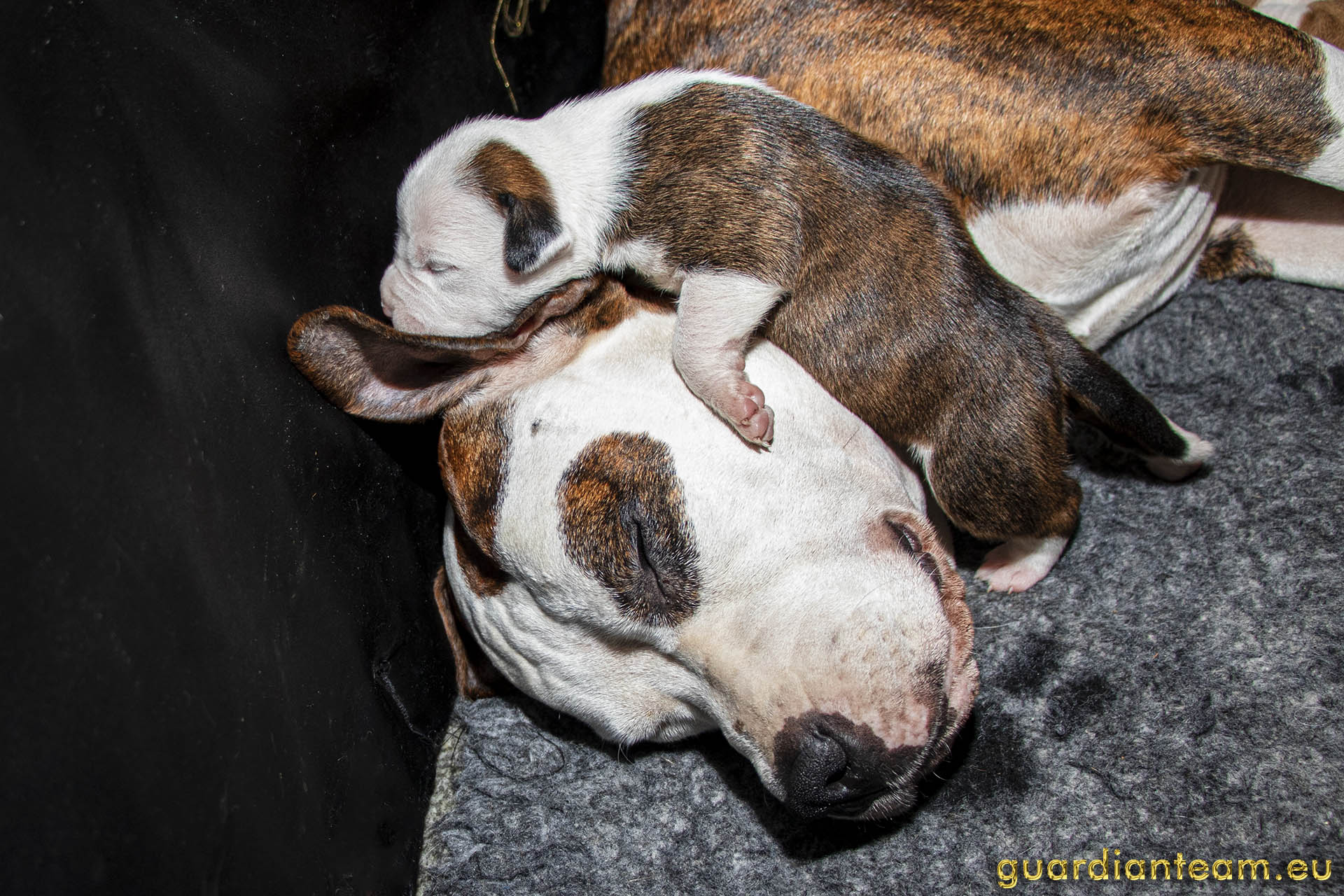 Galeria 2021.12.17 - 2021.12.24