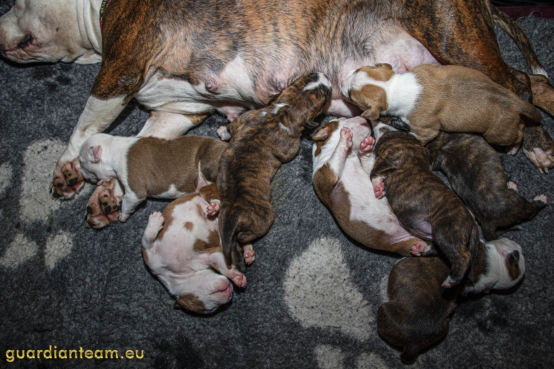 Galeria 2021.12.17 - 2021.12.24