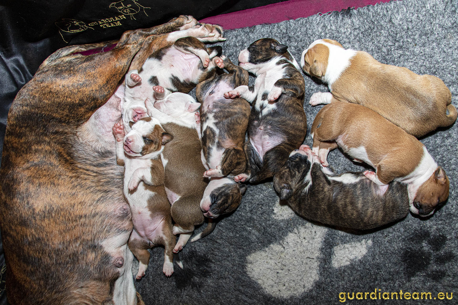 Galeria 2021.12.17 - 2021.12.24