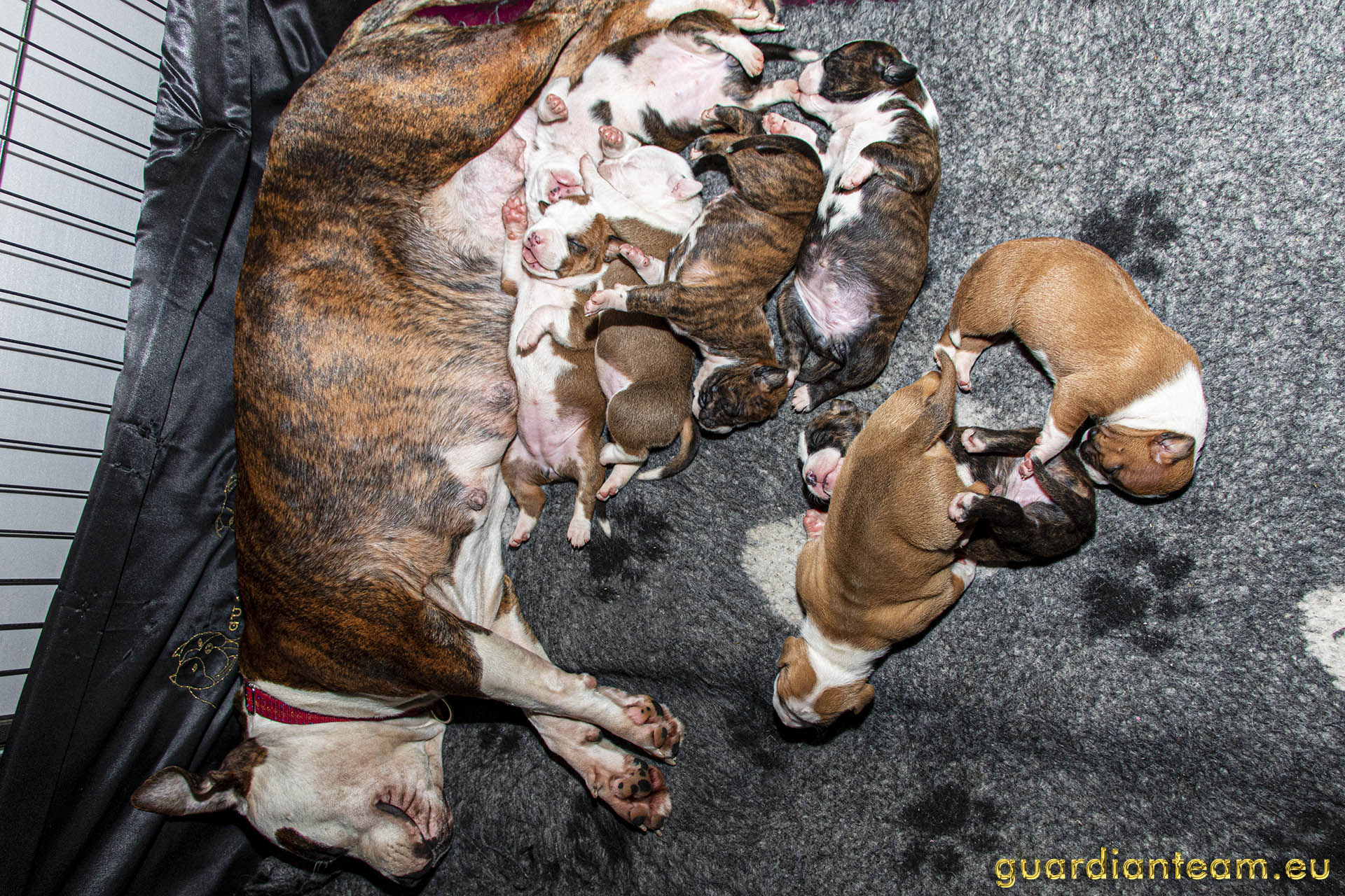 Galeria 2021.12.17 - 2021.12.24