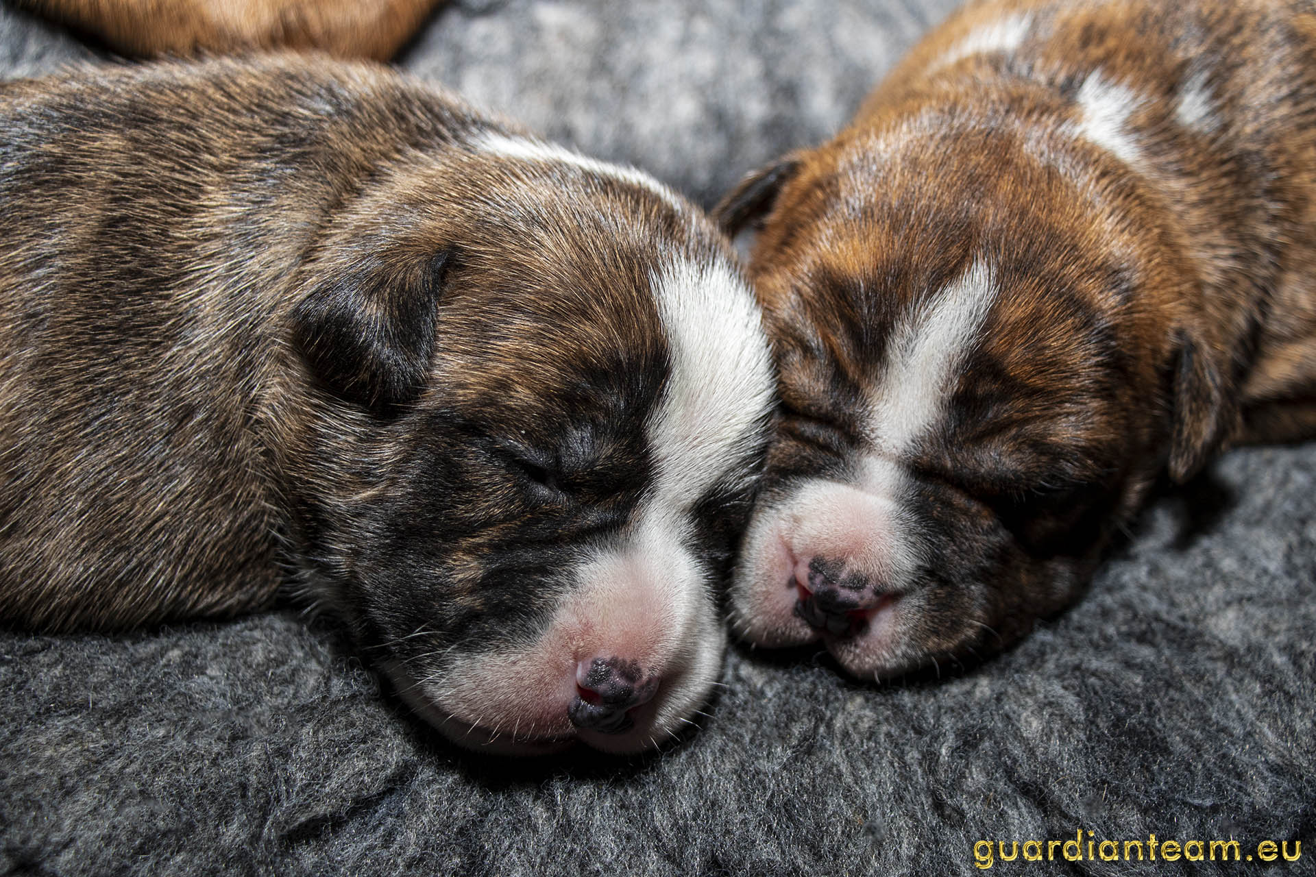 Galeria 2021.12.17 - 2021.12.24