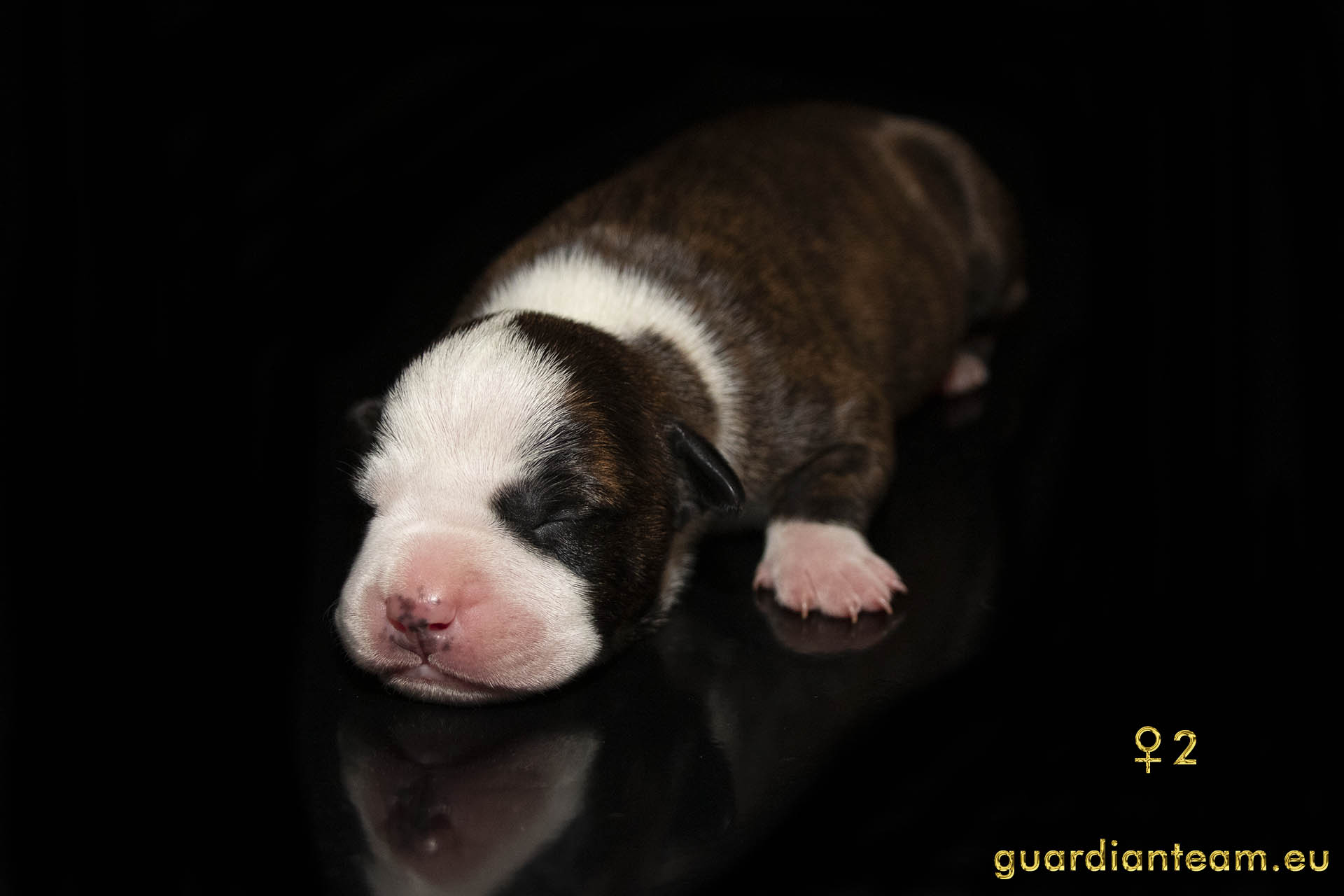 MIOT Y (2021.12.17) / FEMALE 2