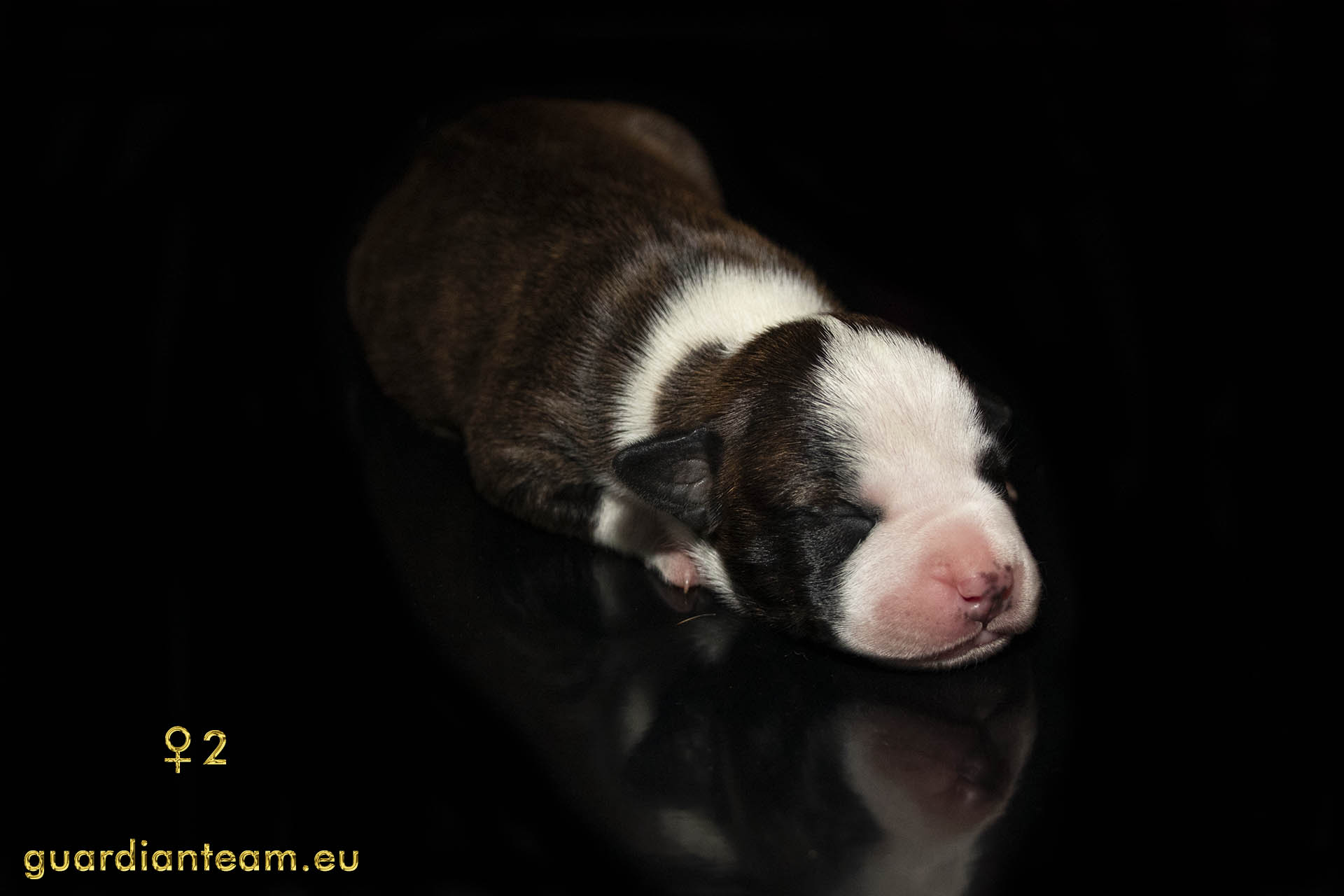 MIOT Y (2021.12.17) / FEMALE 2