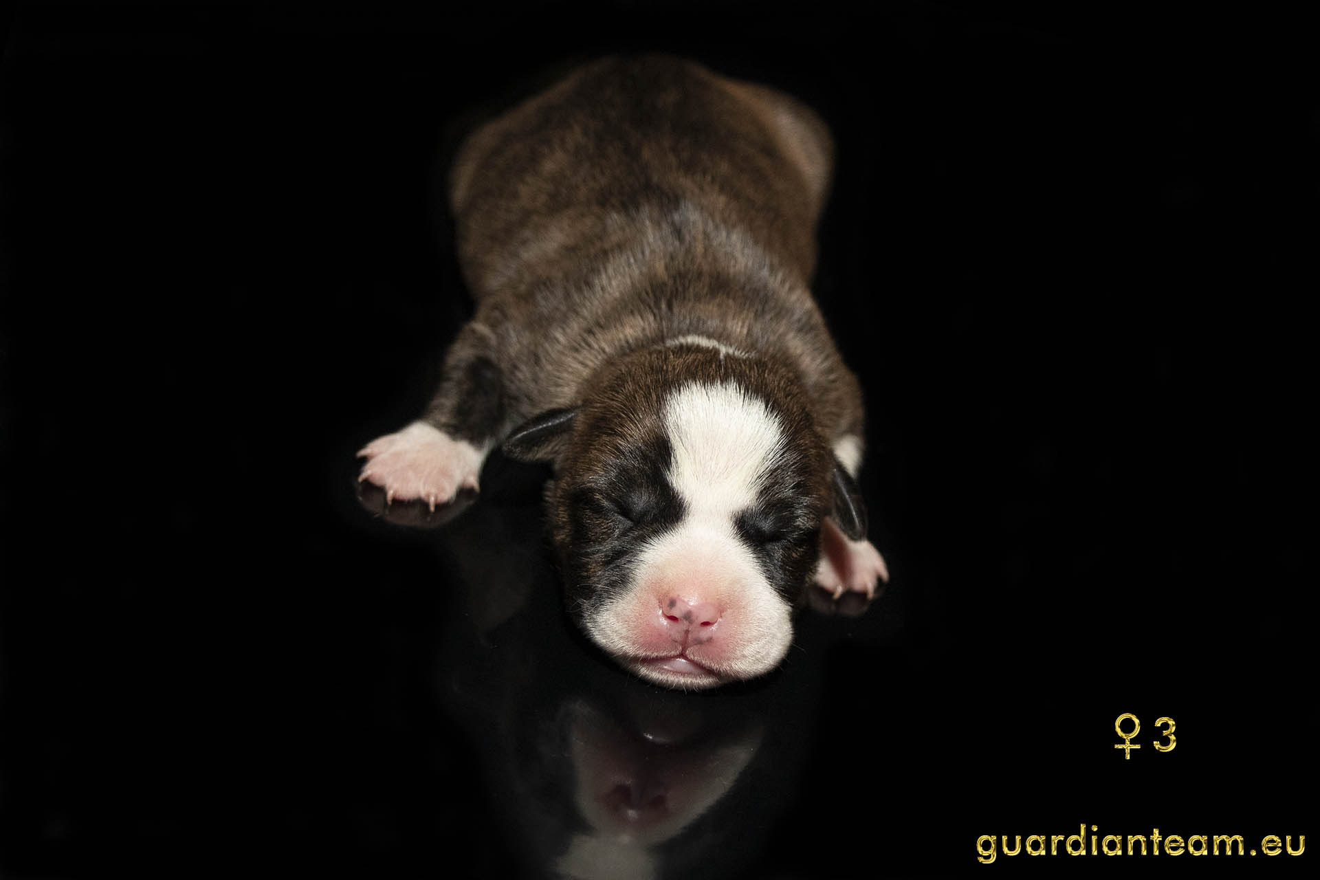 MIOT Y (2021.12.17) / FEMALE 3