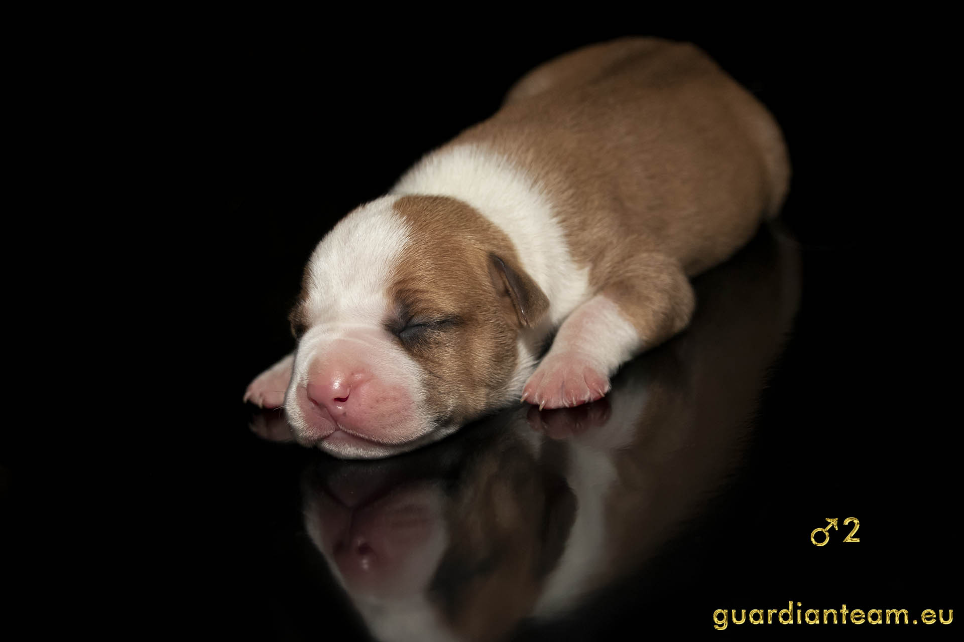 MIOT Y (2021.12.17) / MALE 2