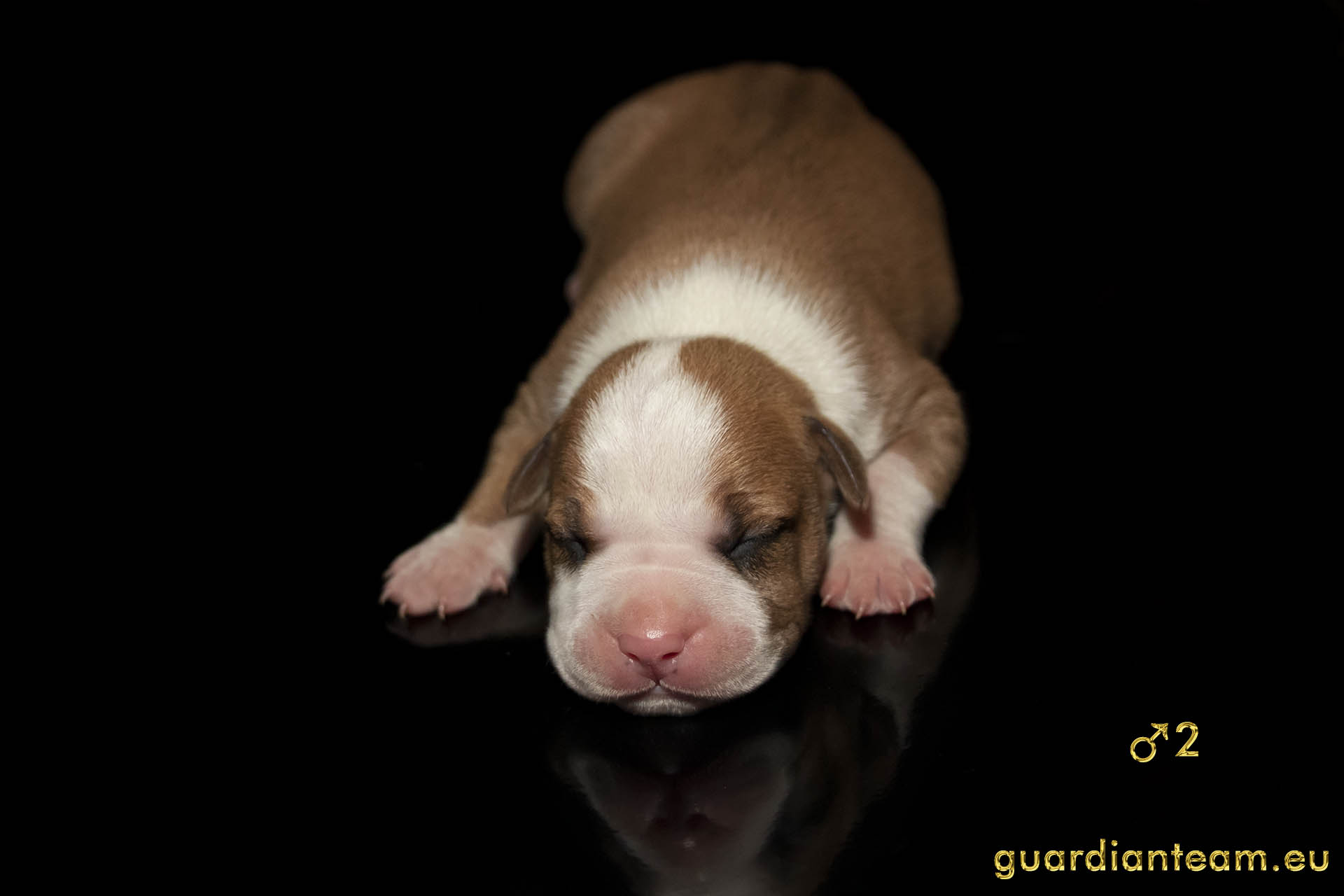 MIOT Y (2021.12.17) / MALE 2