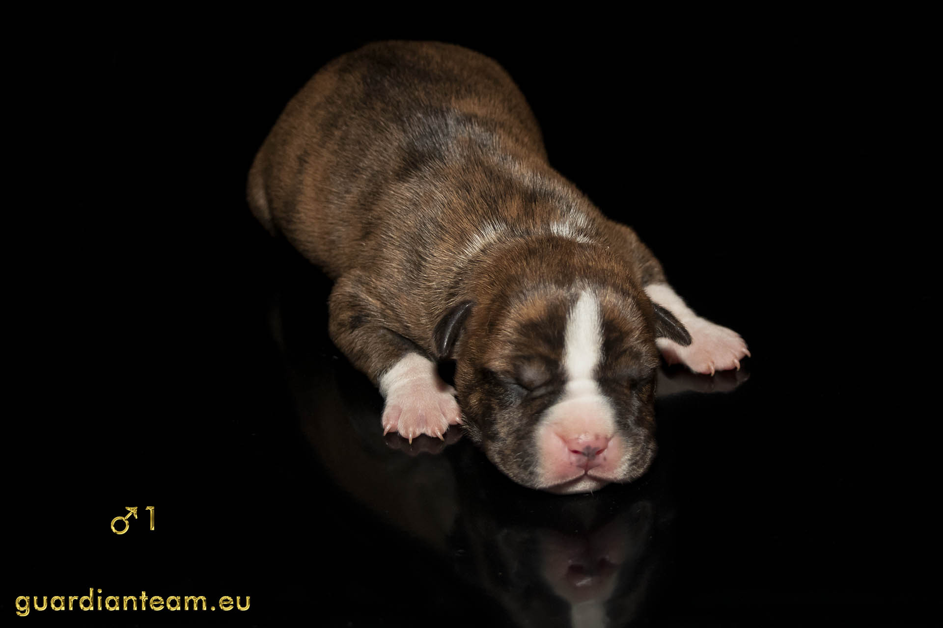 MIOT Y (2021.12.17) / MALE 1