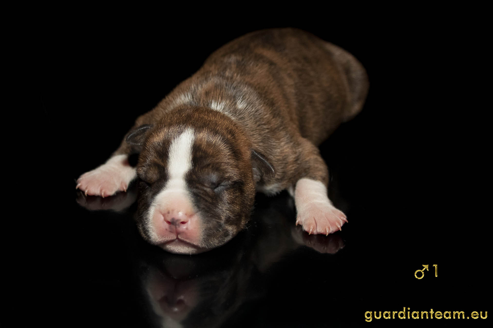 MIOT Y (2021.12.17) / MALE 1