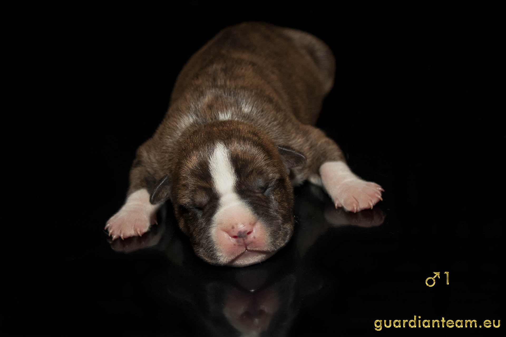 MIOT Y (2021.12.17) / MALE 1