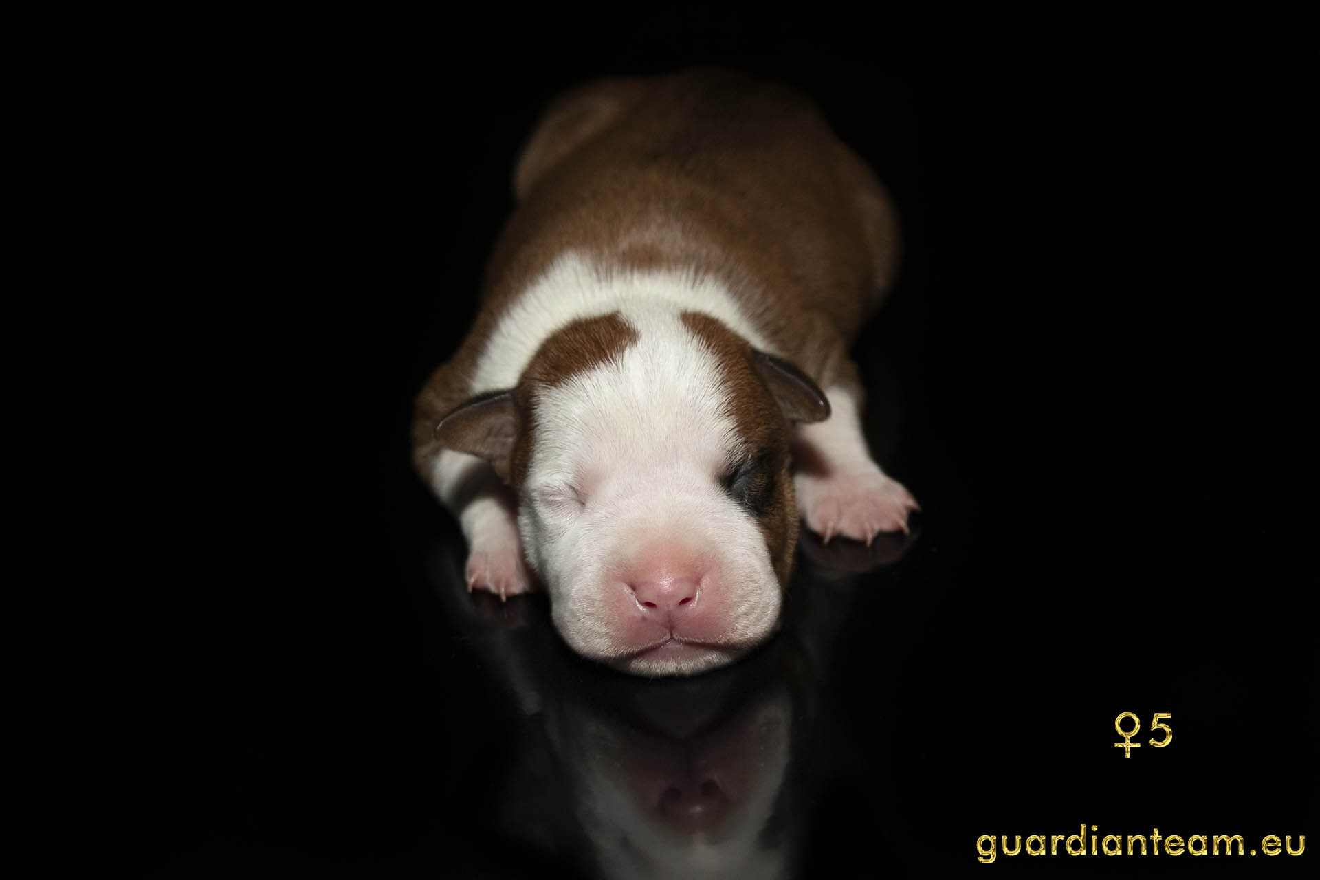 MIOT Y (2021.12.17) / FEMALE 5