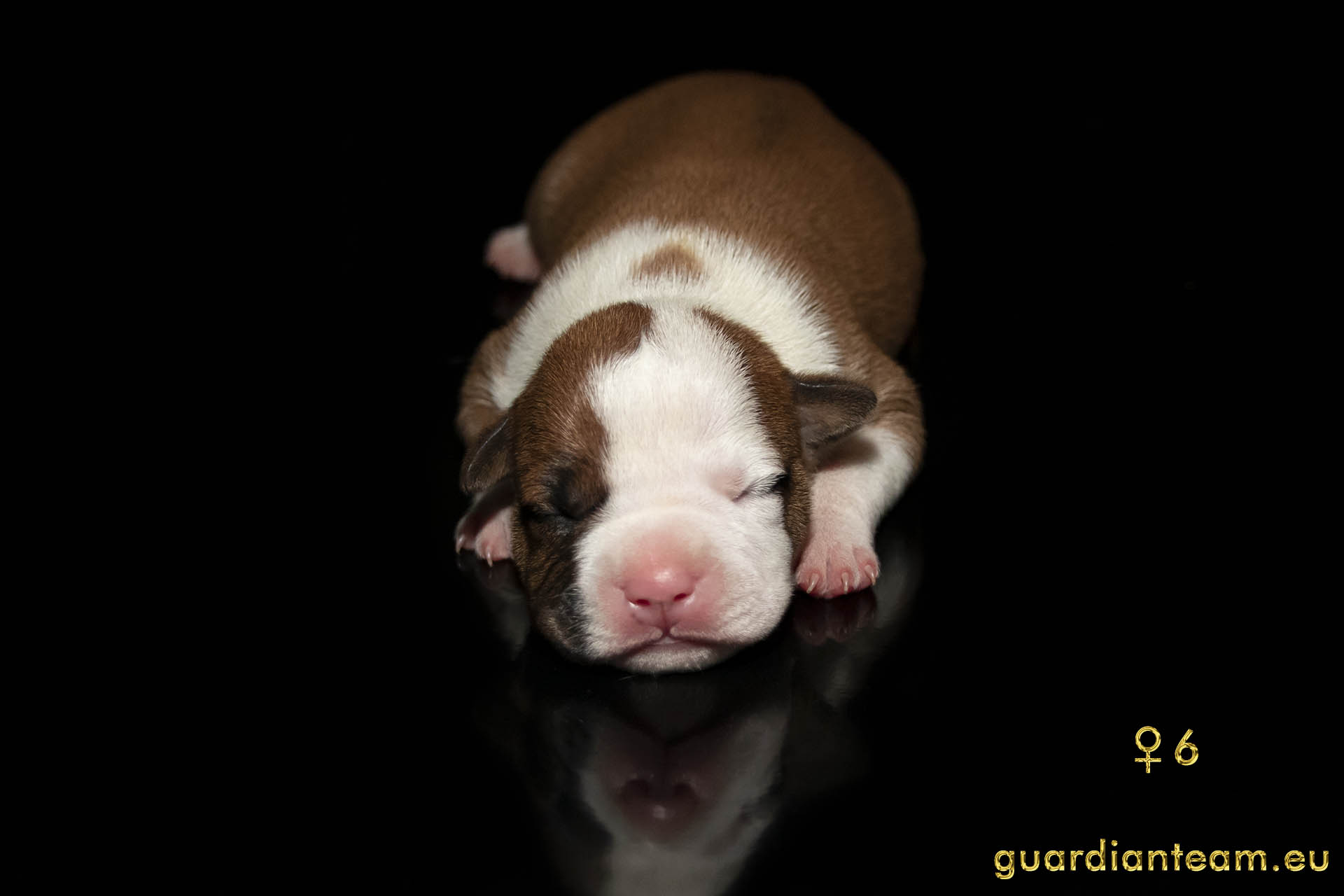 MIOT Y (2021.12.17) / FEMALE 6