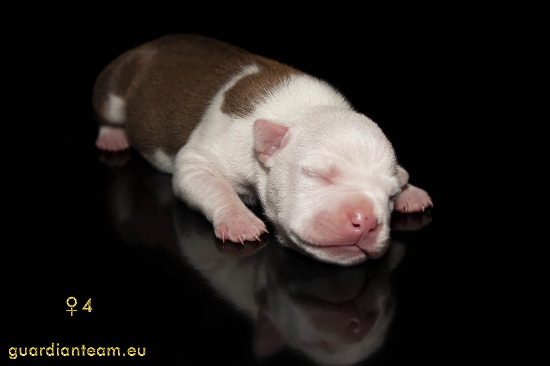 MIOT Y (2021.12.17) / FEMALE 4