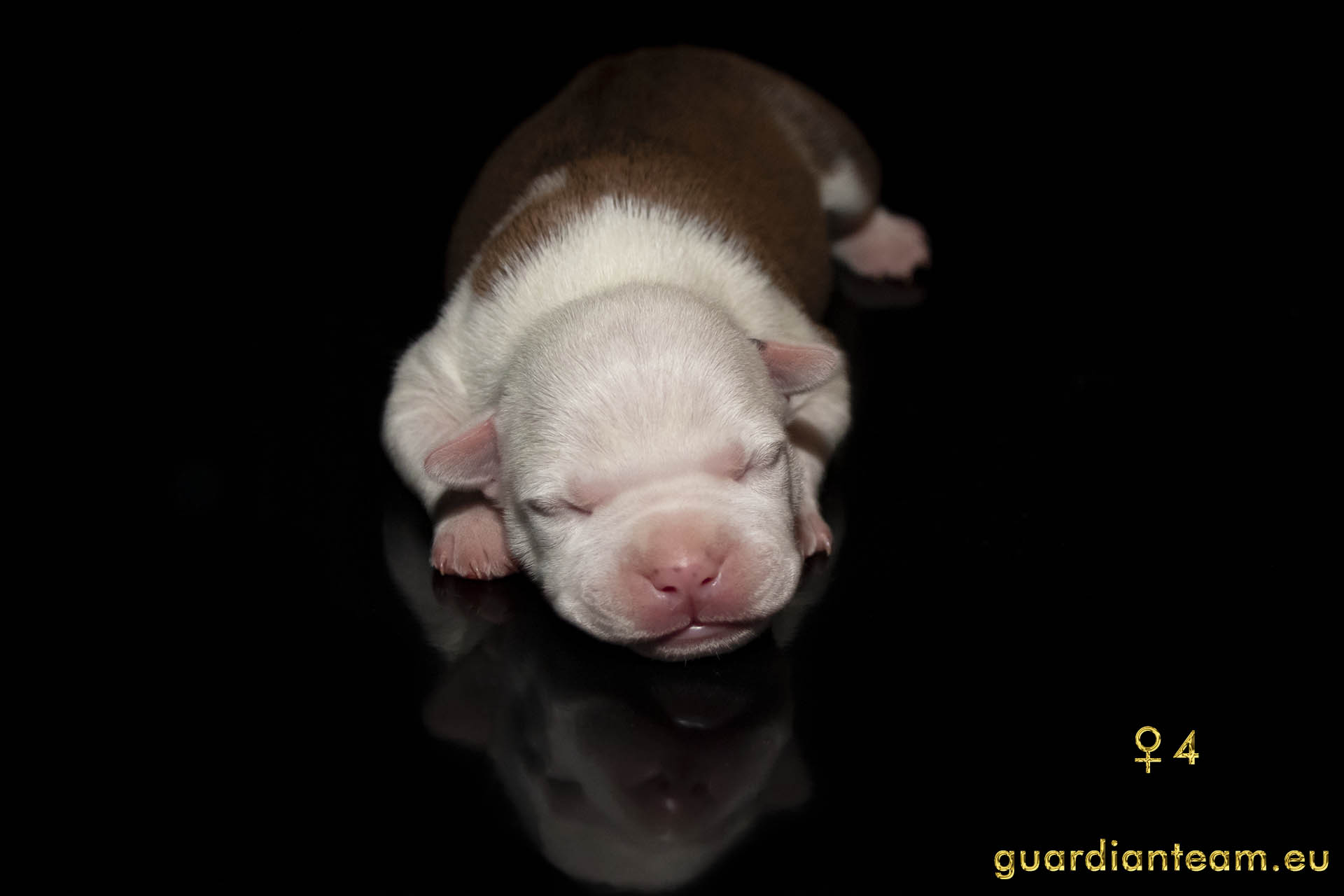 MIOT Y (2021.12.17) / FEMALE 4