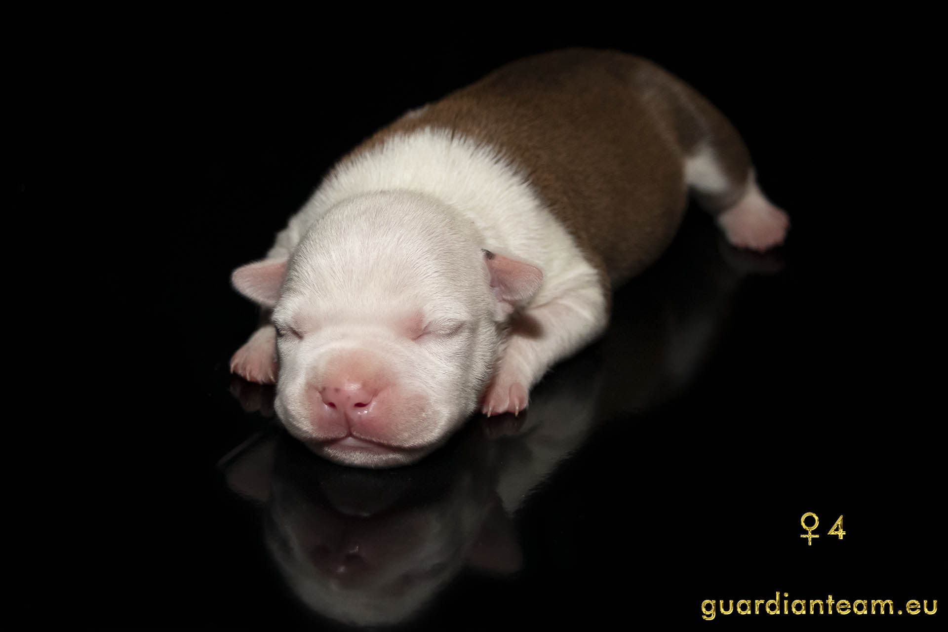 MIOT Y (2021.12.17) / FEMALE 4