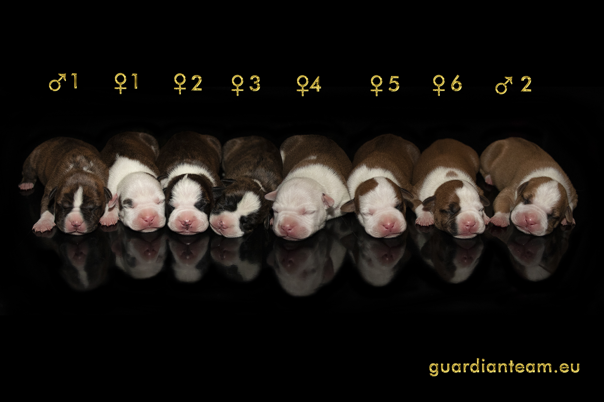 Galeria 2021.12.17 - 2021.12.24